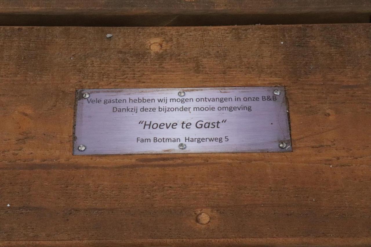 Hoeve Te Gast - Vakantieboerderij Groet Luaran gambar